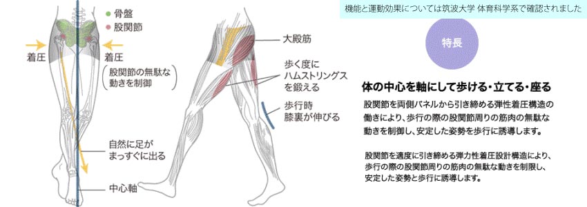 キレイウォーカーの特長